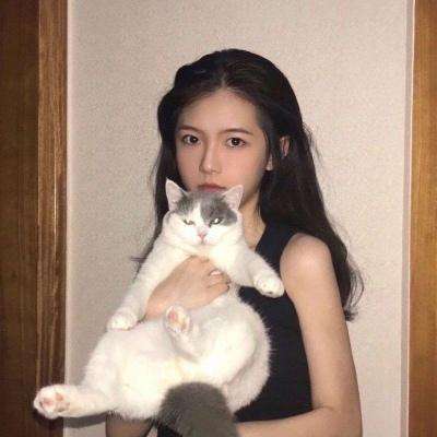 魔塔与英雄手游下载